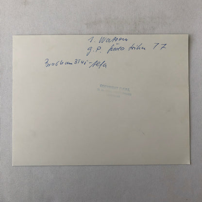 1977 South African Grand Prix Racing Photo Photograph Martini Alfa Romeo