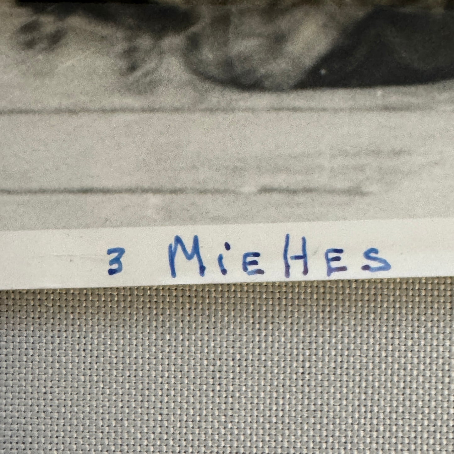 Circus Roller Skating Act Photo Photograph Print Vintage 3 Miehes