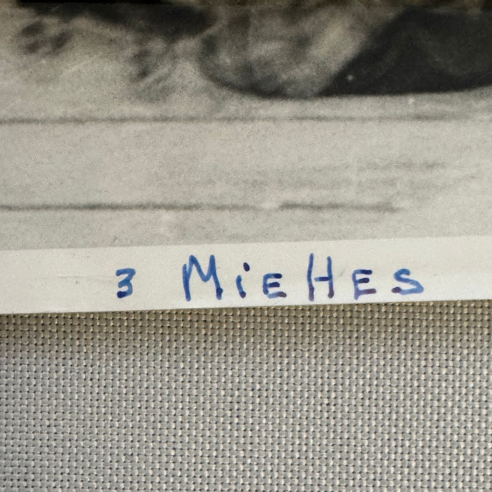 Circus Roller Skating Act Photo Photograph Print Vintage 3 Miehes