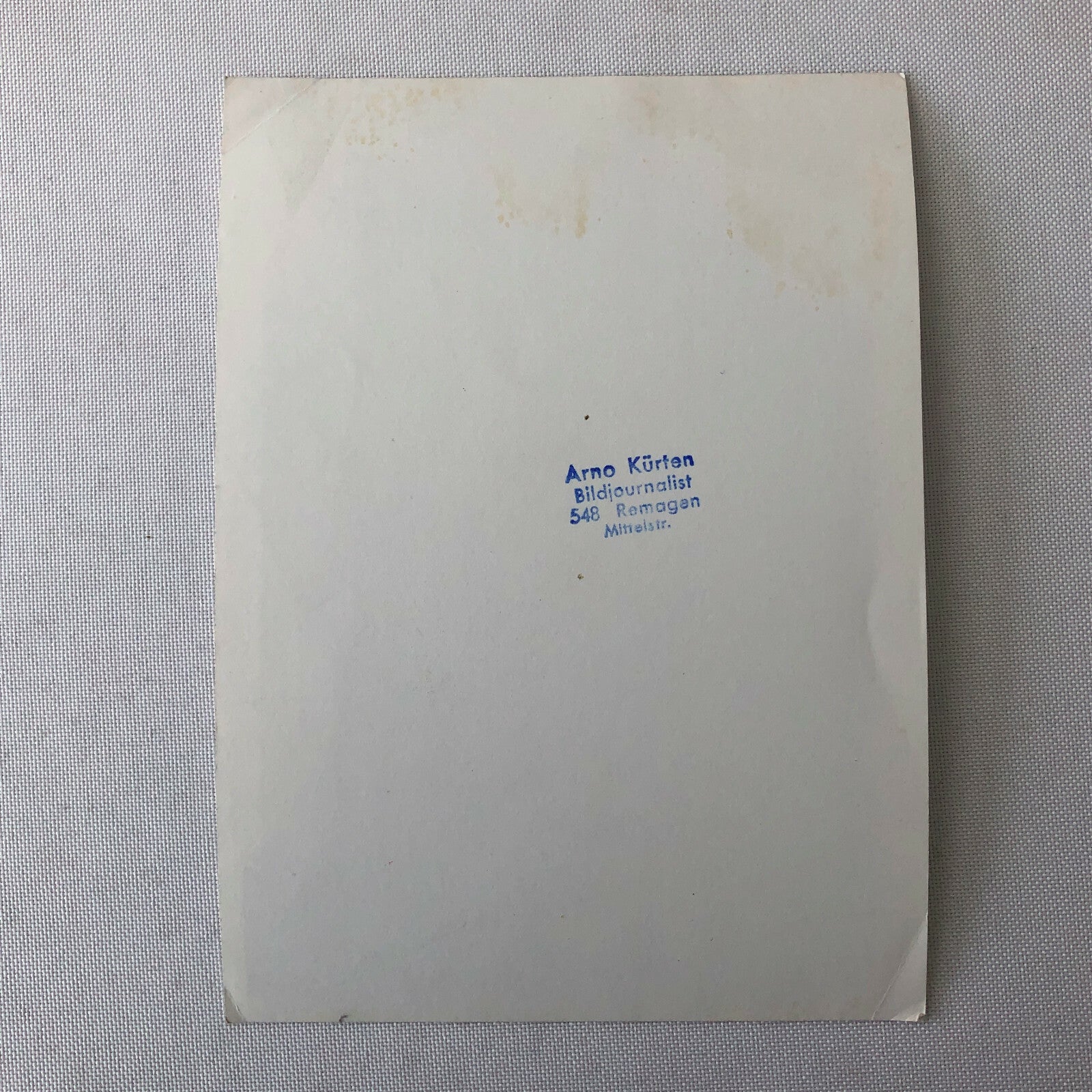 Vintage Stirling Moss Racing Driver Photo Photograph Women and Dog 