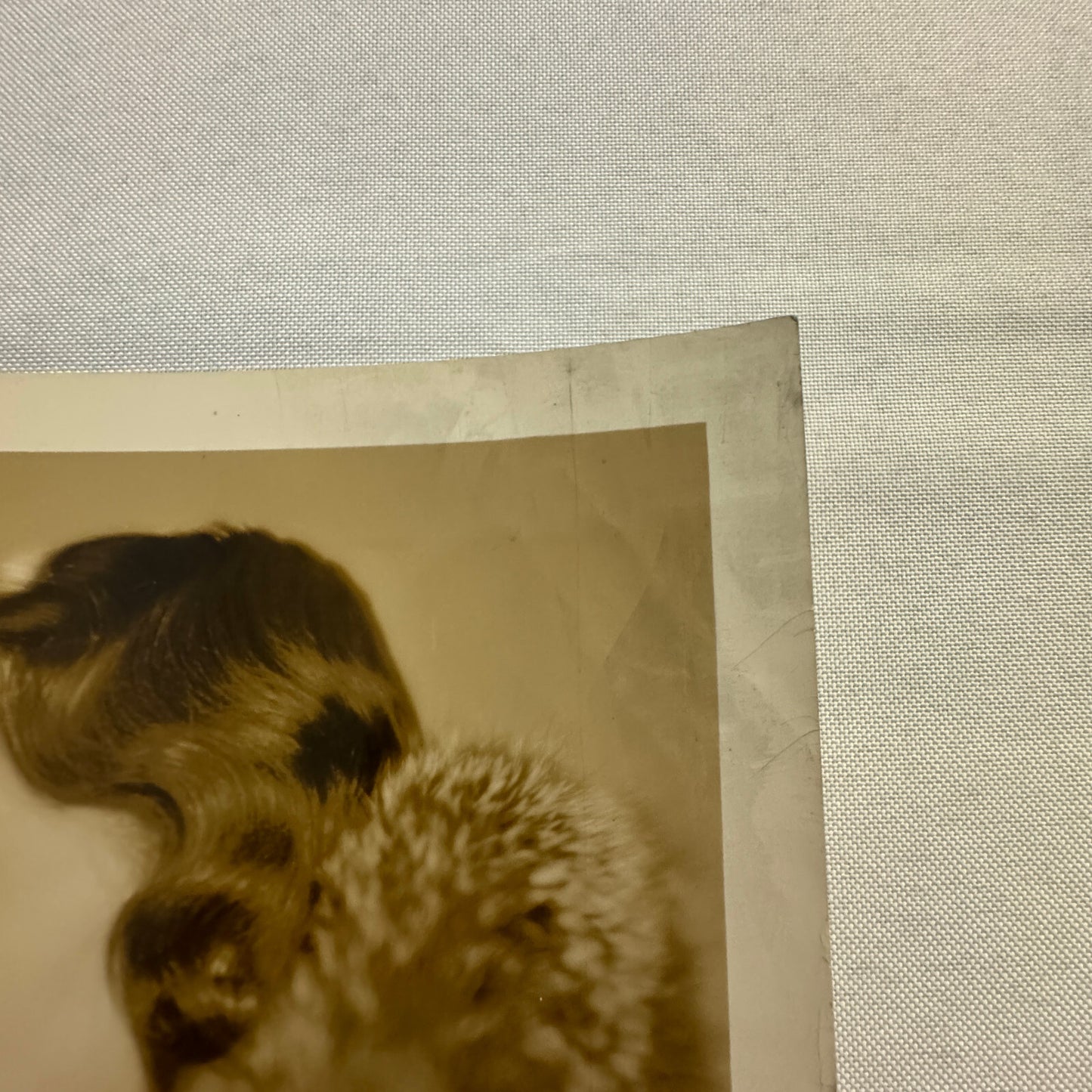 1934 Press Photo Photograph Print Wife of Dutch Envoy Diplomat Netherlands