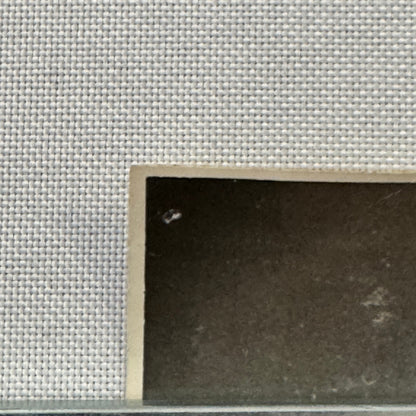 Vintage Circus Rollerskating Act Roller Skate Photo Photograph Print Les Rowlers