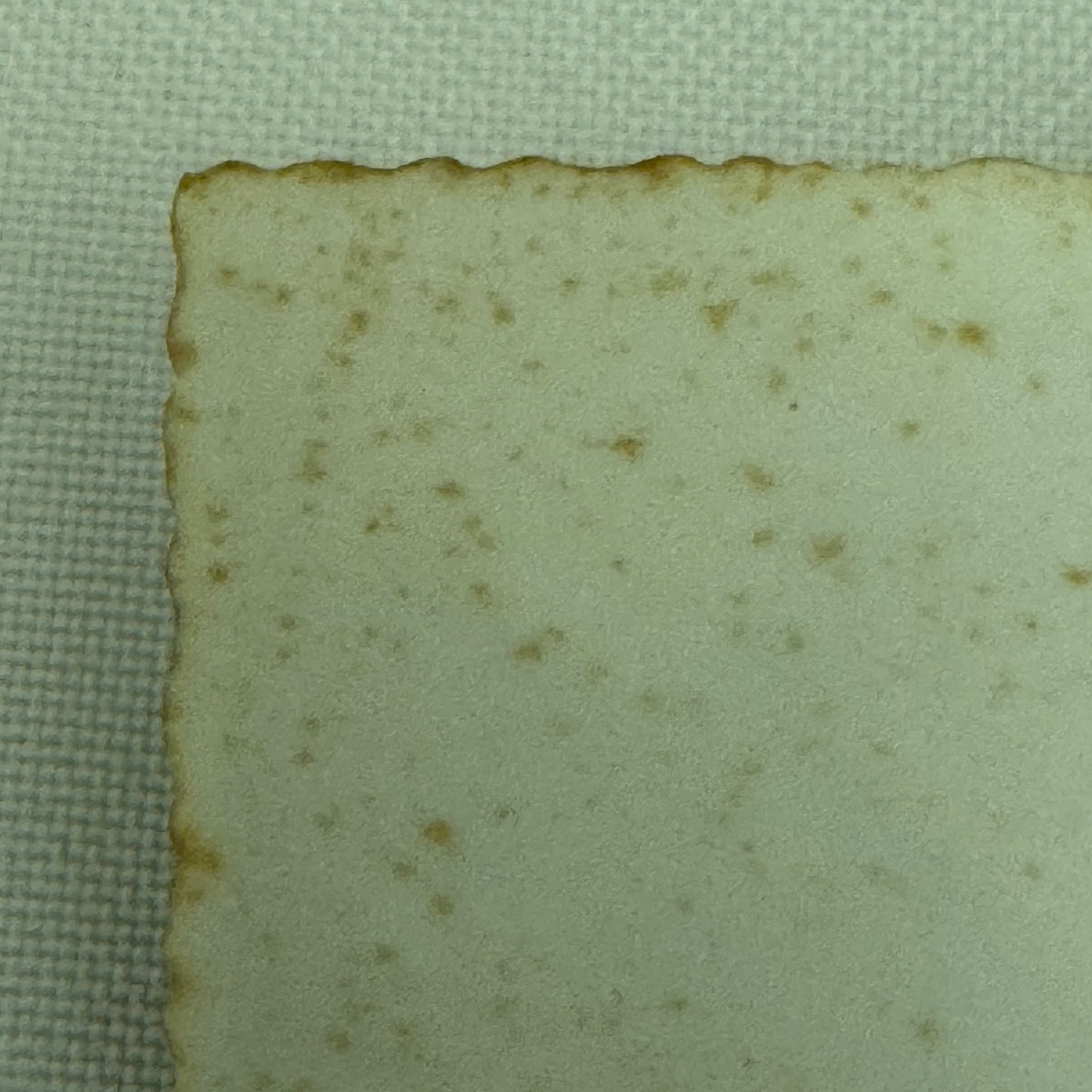 Vintage Alfa Romeo Car Automobile Photo Photograph Print