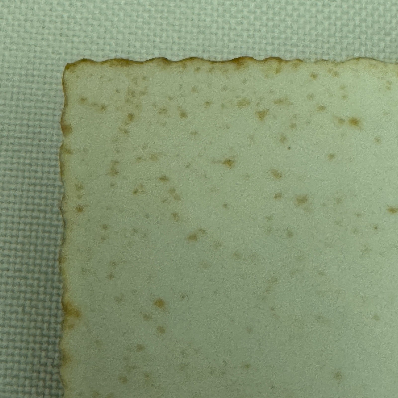 Vintage Alfa Romeo Car Automobile Photo Photograph Print