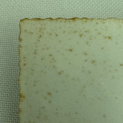 Vintage Alfa Romeo Car Automobile Photo Photograph Print