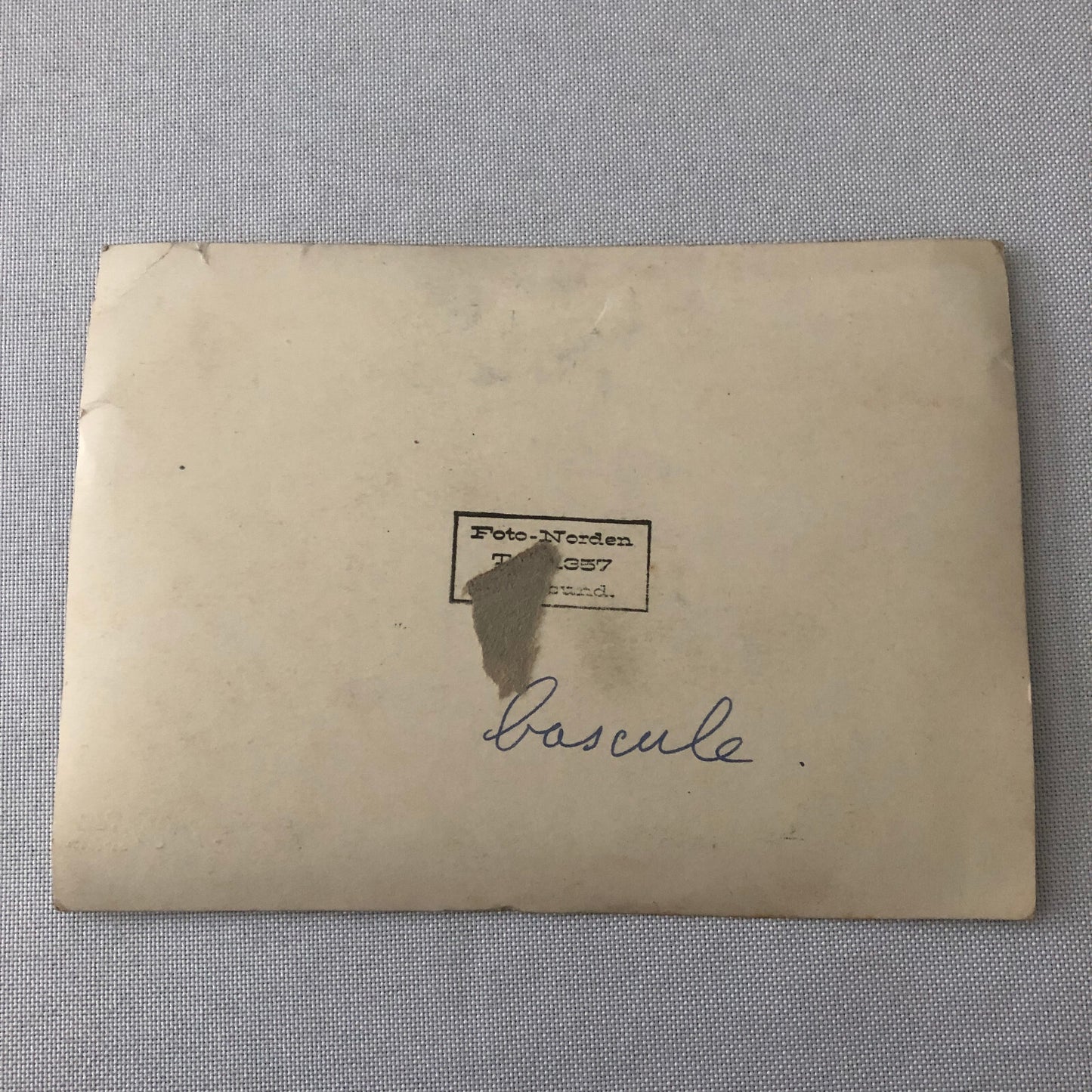 Circus Performer Acrobat Act Photo Photograph Vintage Roxi Troupe Acrobats