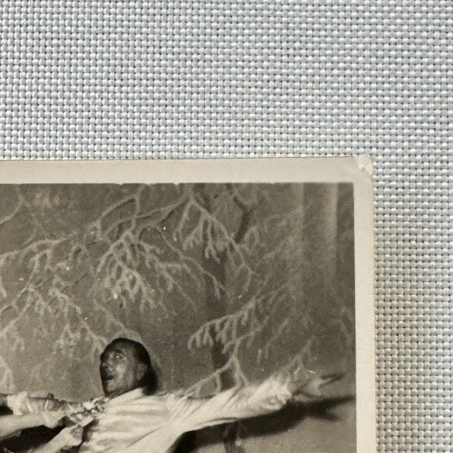 Circus Performer Roller Skating Act Roller Skate Photo Photograph 2 Veronas