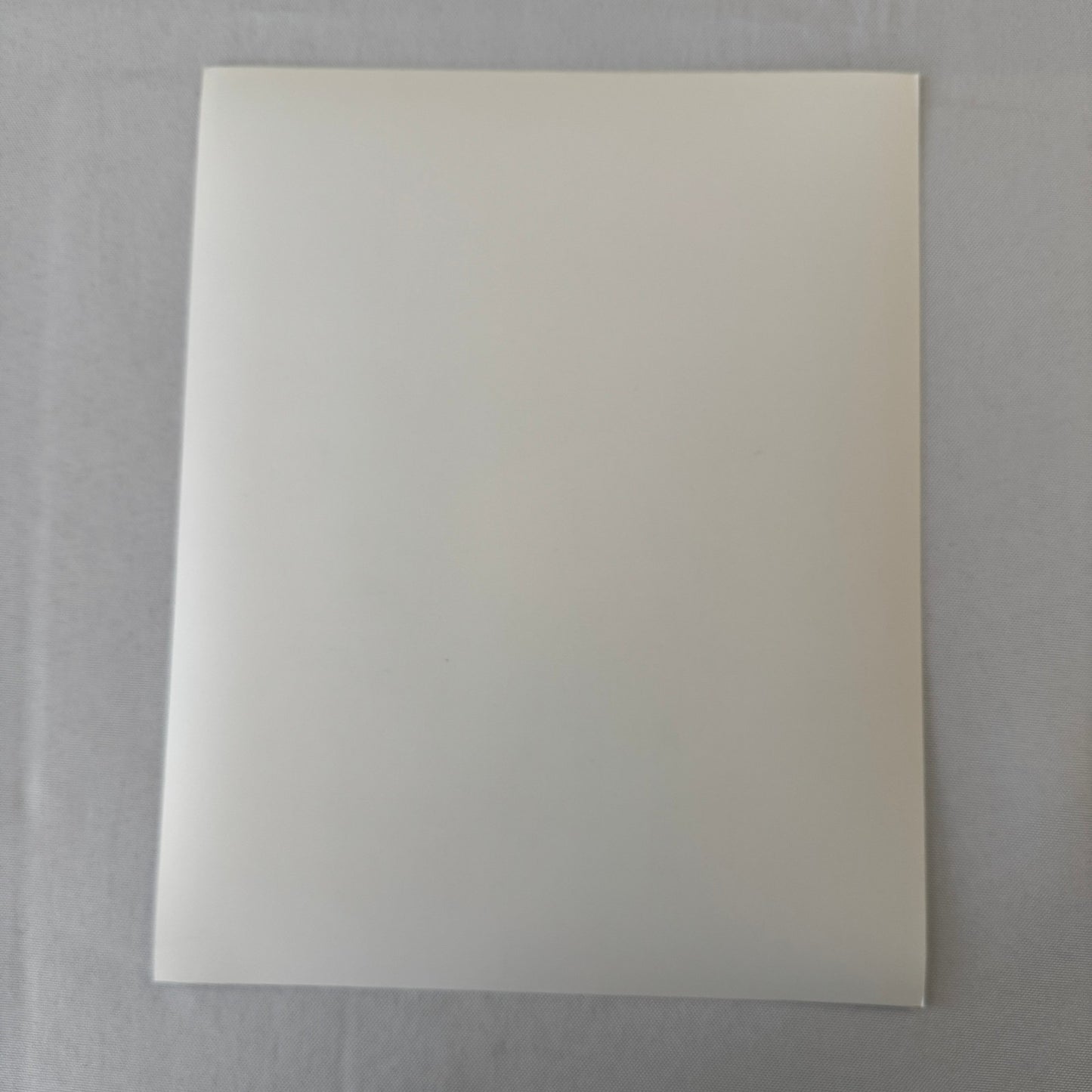 Vintage Racing Photo Photograph Driver Jody Scheckter Brian Redman