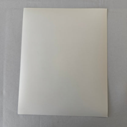 Vintage Racing Photo Photograph Driver Jody Scheckter Brian Redman