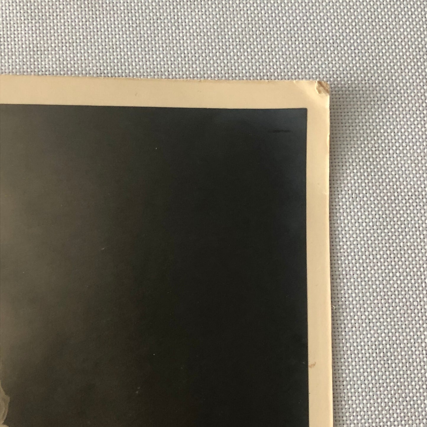 Circus Knife Act Perfomer Photo Photograph Print Gibson & Co German Vintage