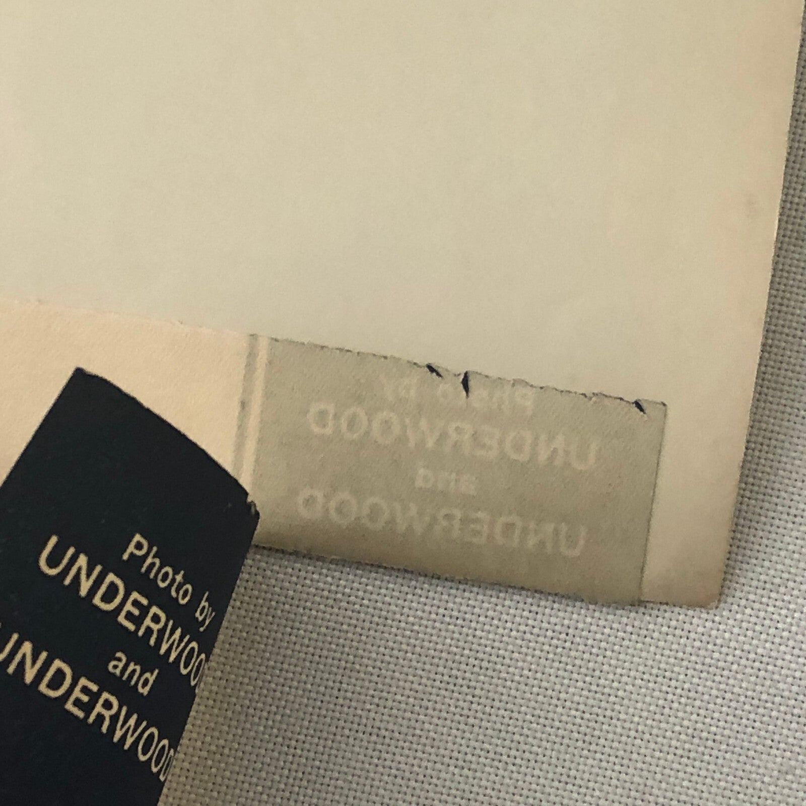 Press Photograph Photo Scientist New Method of Seeing Germs 1932 Underwood Photo