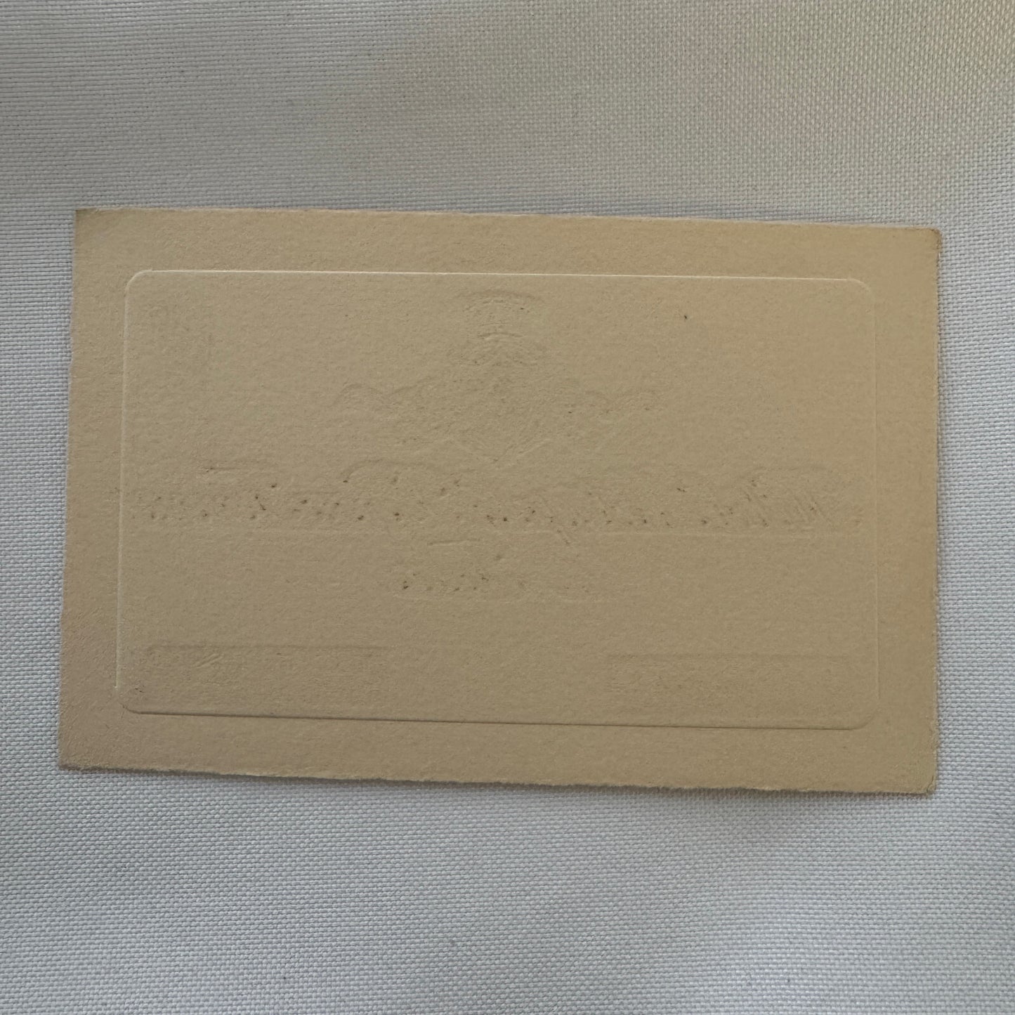 Vintage Hotel Card Hotel Metropole Bonne Femme et Feder Torino Italy Italian