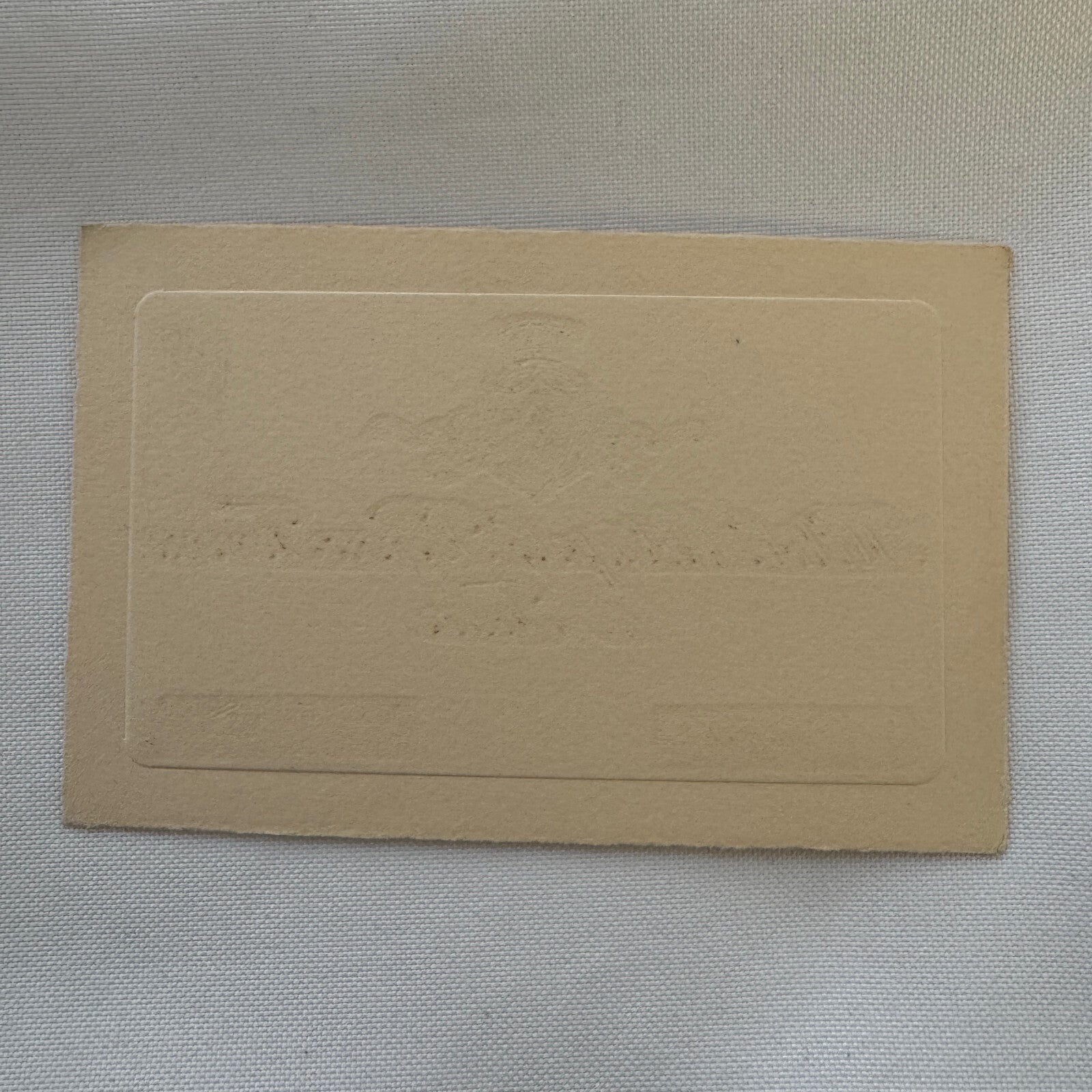 Vintage Hotel Card Hotel Metropole Bonne Femme et Feder Torino Italy Italian
