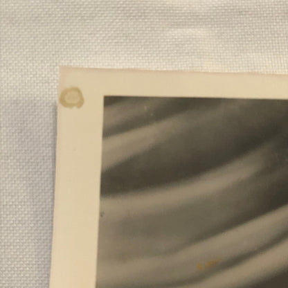 Lana Turner Hollywood Movie Star Actress Photo Photograph Print Beautiful