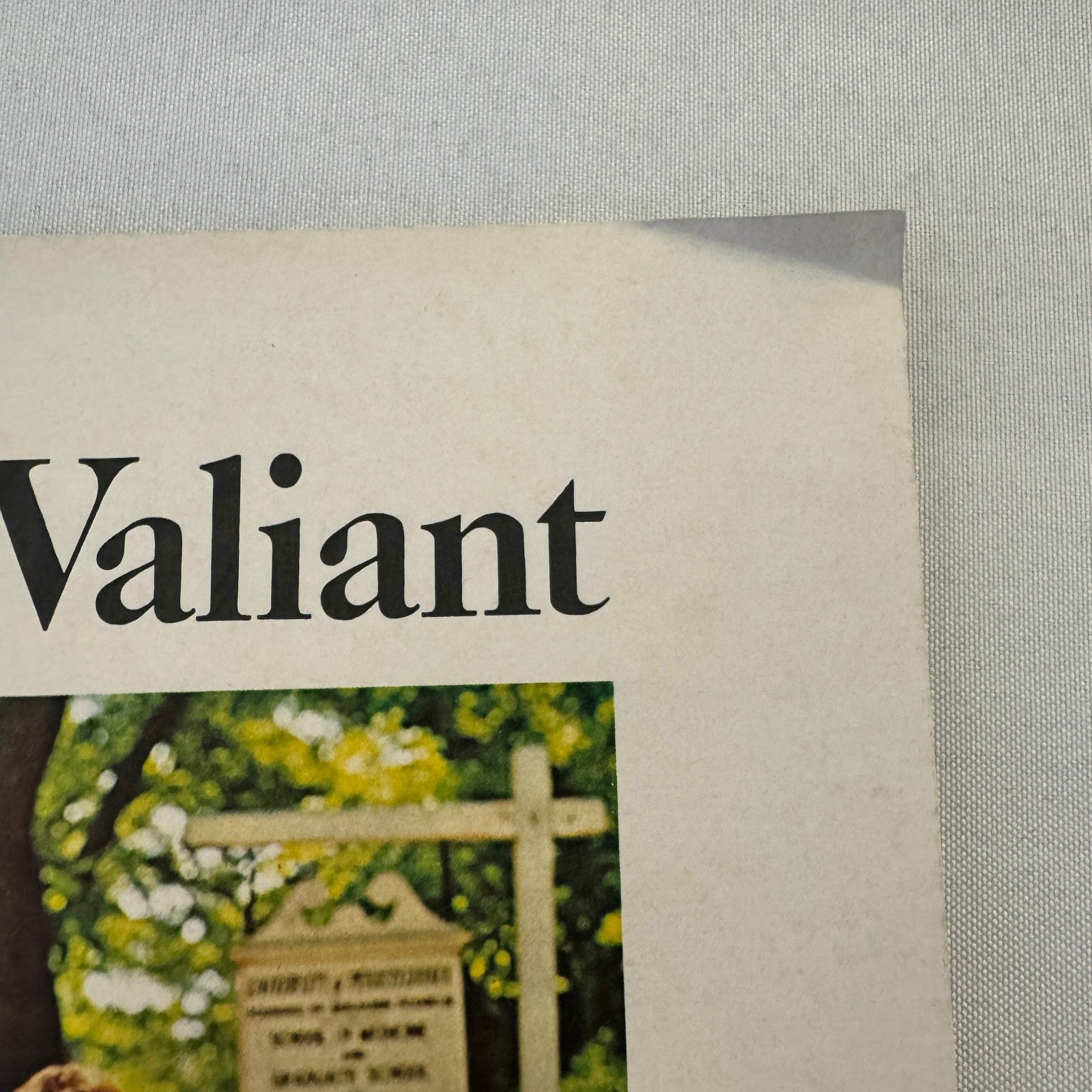 1965 Plymouth Valiant Car Sales Brochure Catalog Advertising Vintage