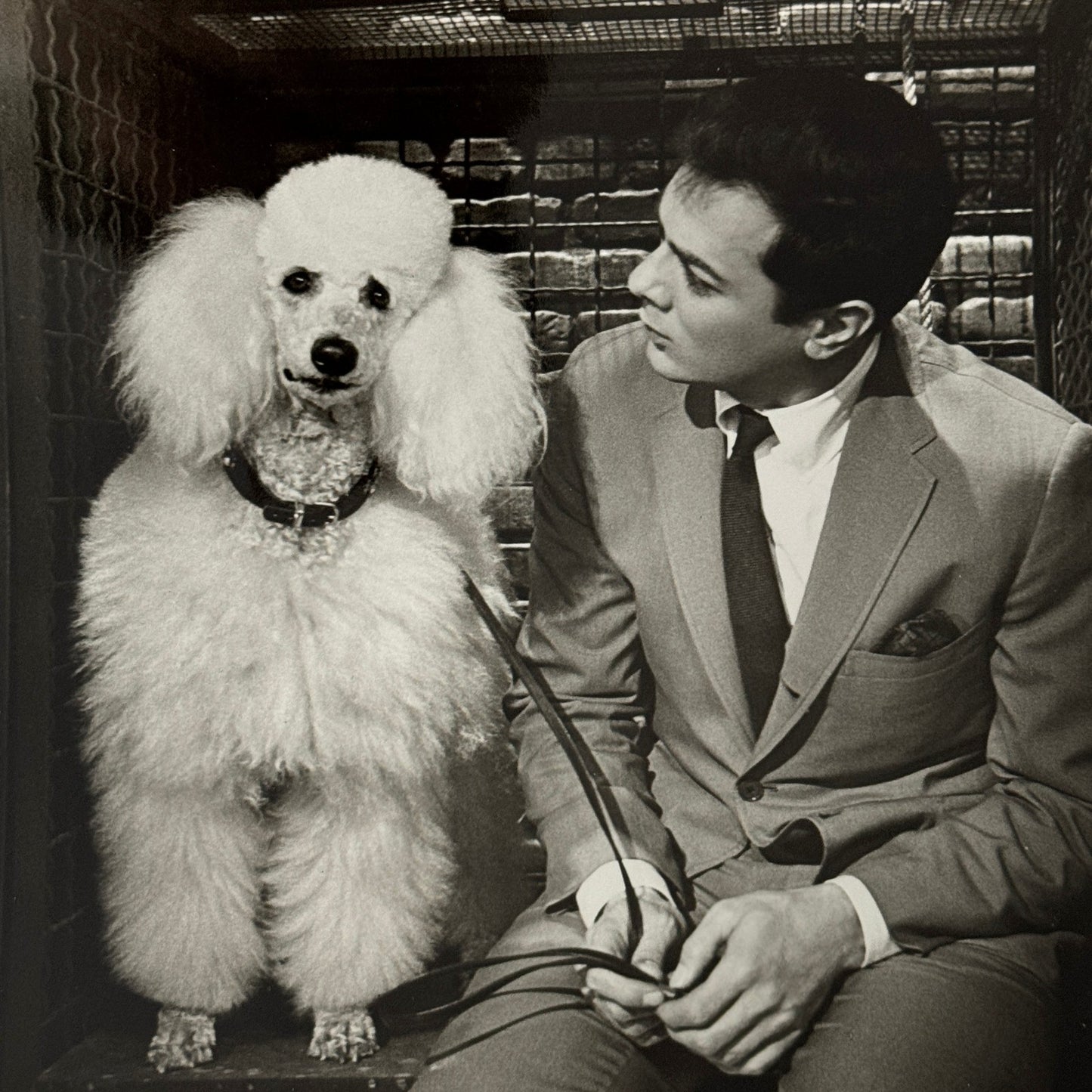 Vintage Movie Still Press Photo Photograph Print Wild and Wonderful Tony Curtis