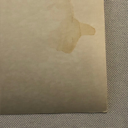 Xanadu Michael Beck Movie Film Photo Photograph Print 1980