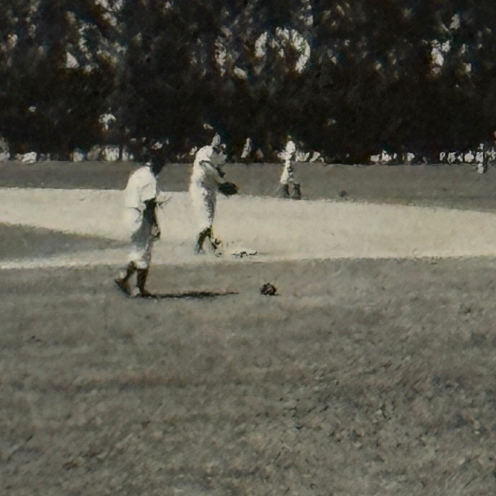 1950 New York Yankees Photo Photograph Snapshot Baseball NY Vintage