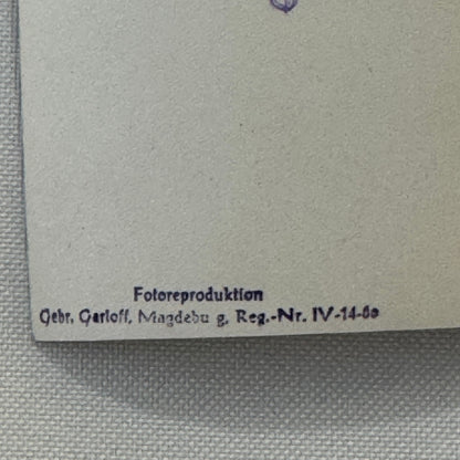 Circus Performer Balancing Act on Unicycle Photo Photograph Renellis