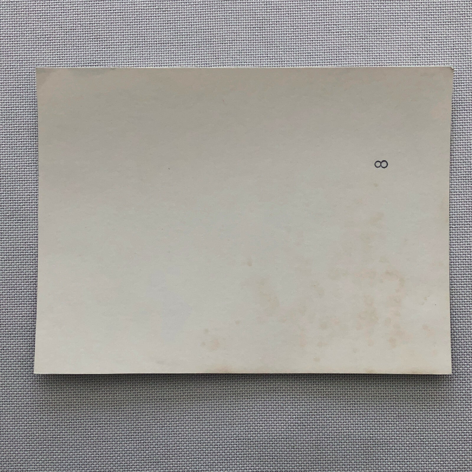 Vintage Ford Falcon Rally Car Photo Photograph 