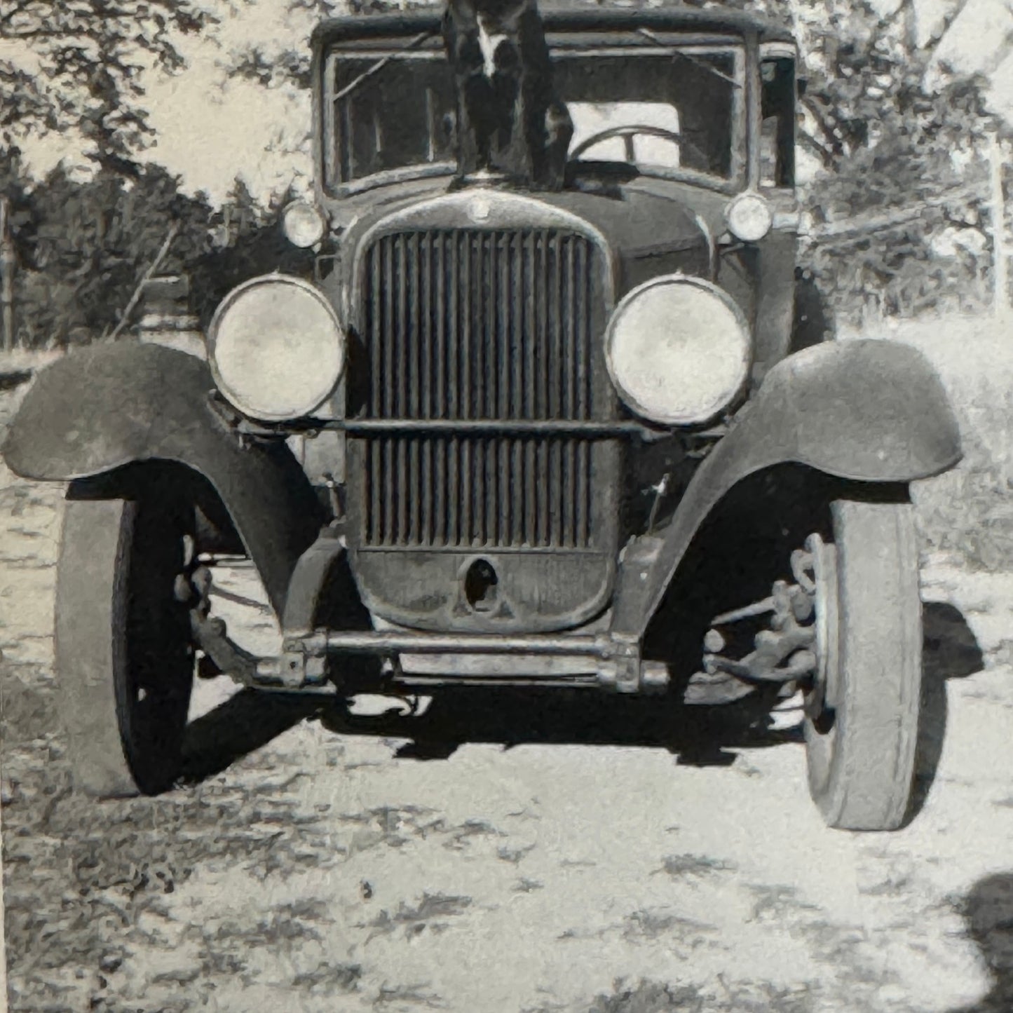 Vintage Dog Automobile Photo Photograph Print Snapshot Early Car