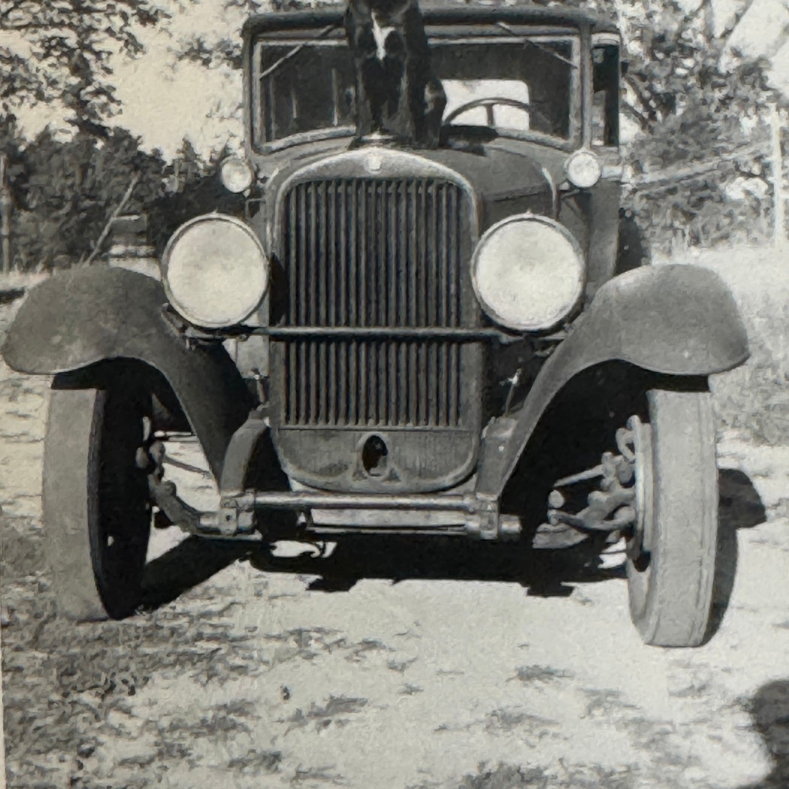 Vintage Dog Automobile Photo Photograph Print Snapshot Early Car