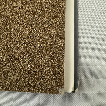 2000 Audi Steppenwolf Concept Car Prototype Press Kit Photos Germany