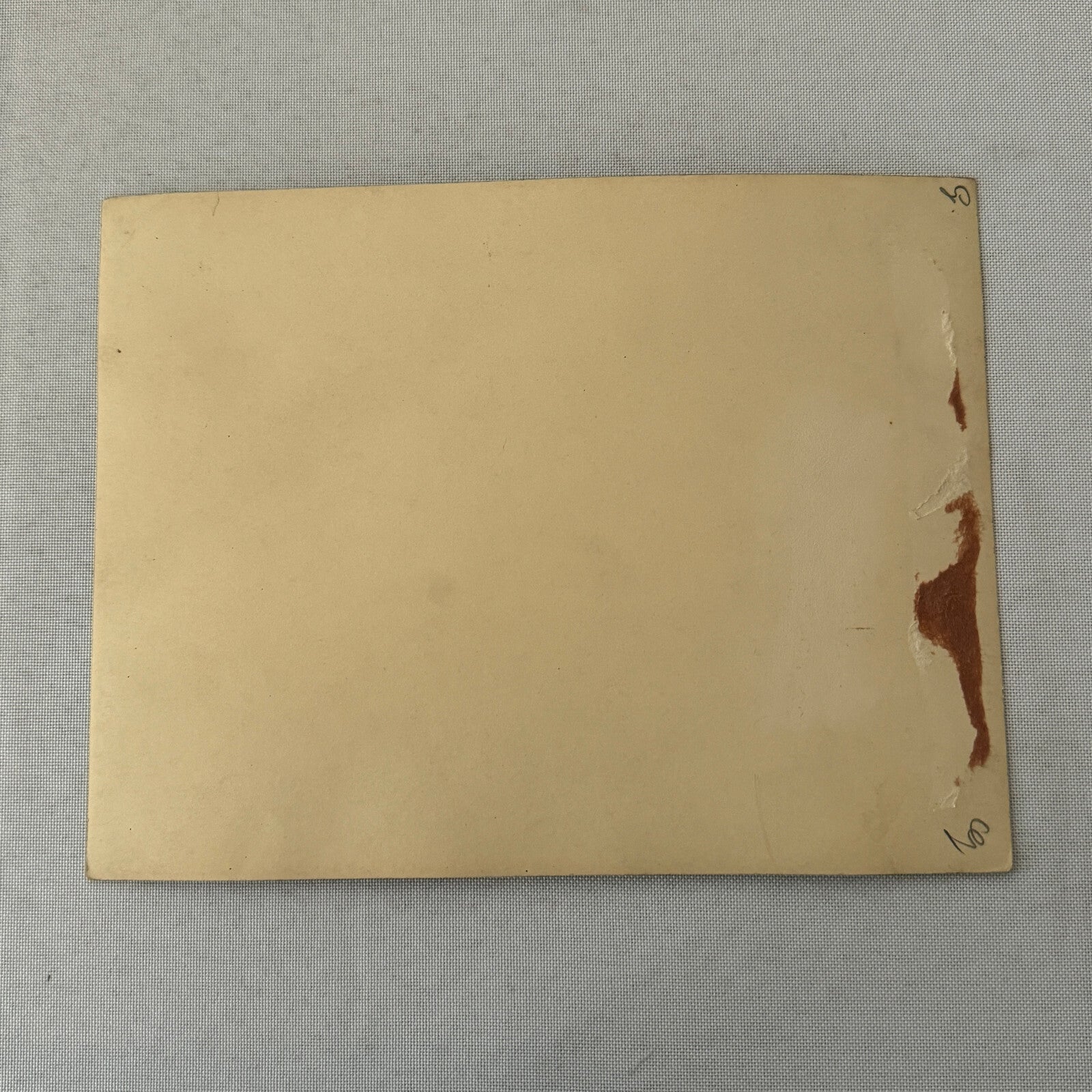 Vintage Circus Juggling Acrobat Act Bedini Tafani Photo Photograph