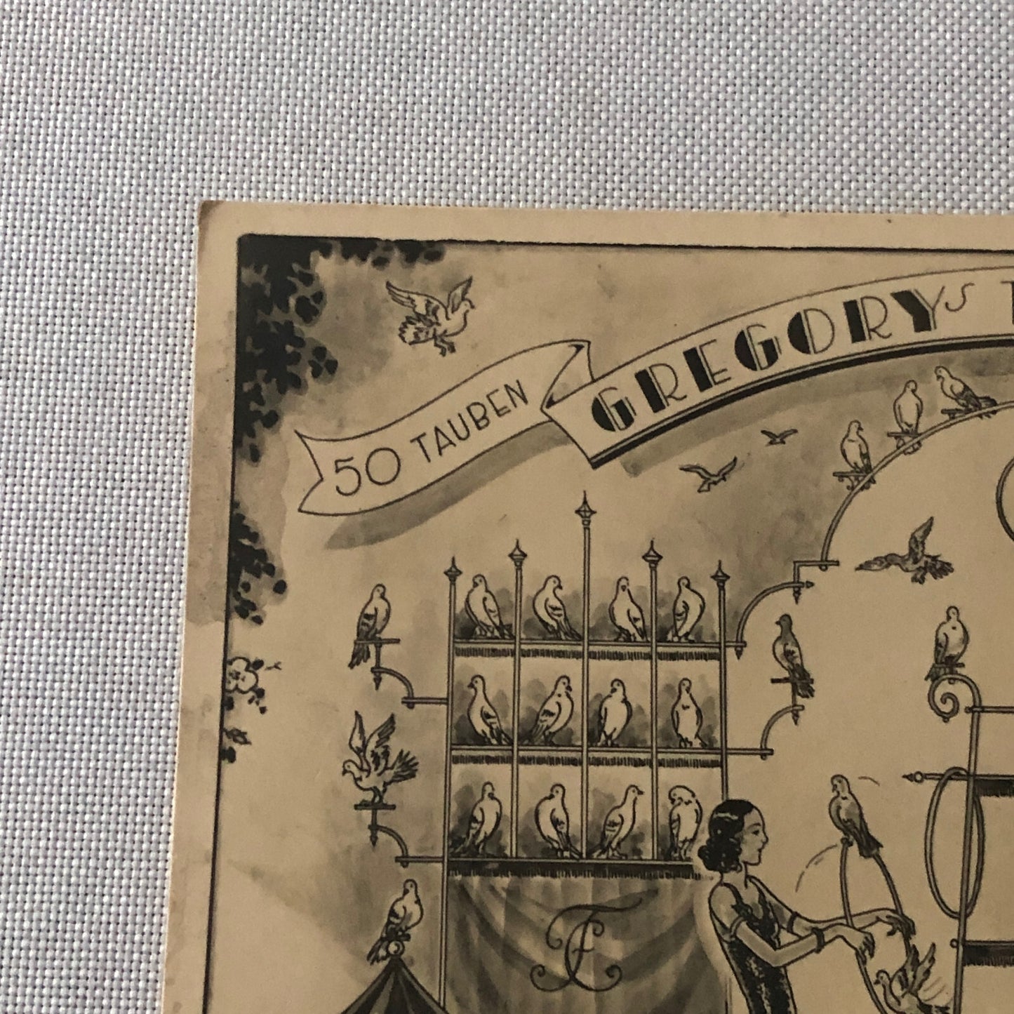 Circus Bird Training Act Postcard Post Card Gregory's Tauben Revue German