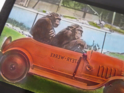 Vintage Glass Advertising Magic Lantern Slide - Steyr Werke Car w/ Monkey Chimp