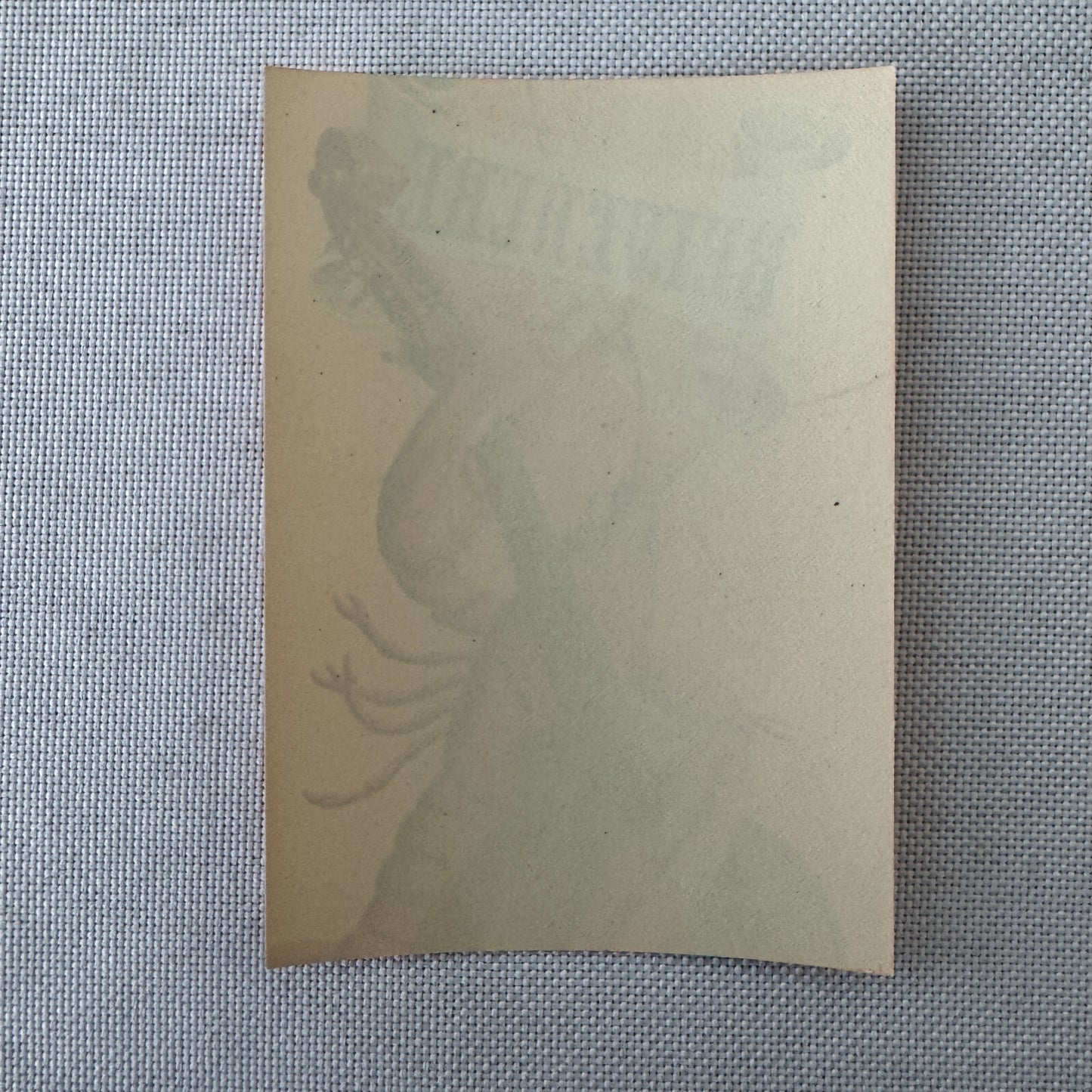 Vintage Hotel Travel Luggage Label Belvedere Hotel and Casino Davos Switzerland