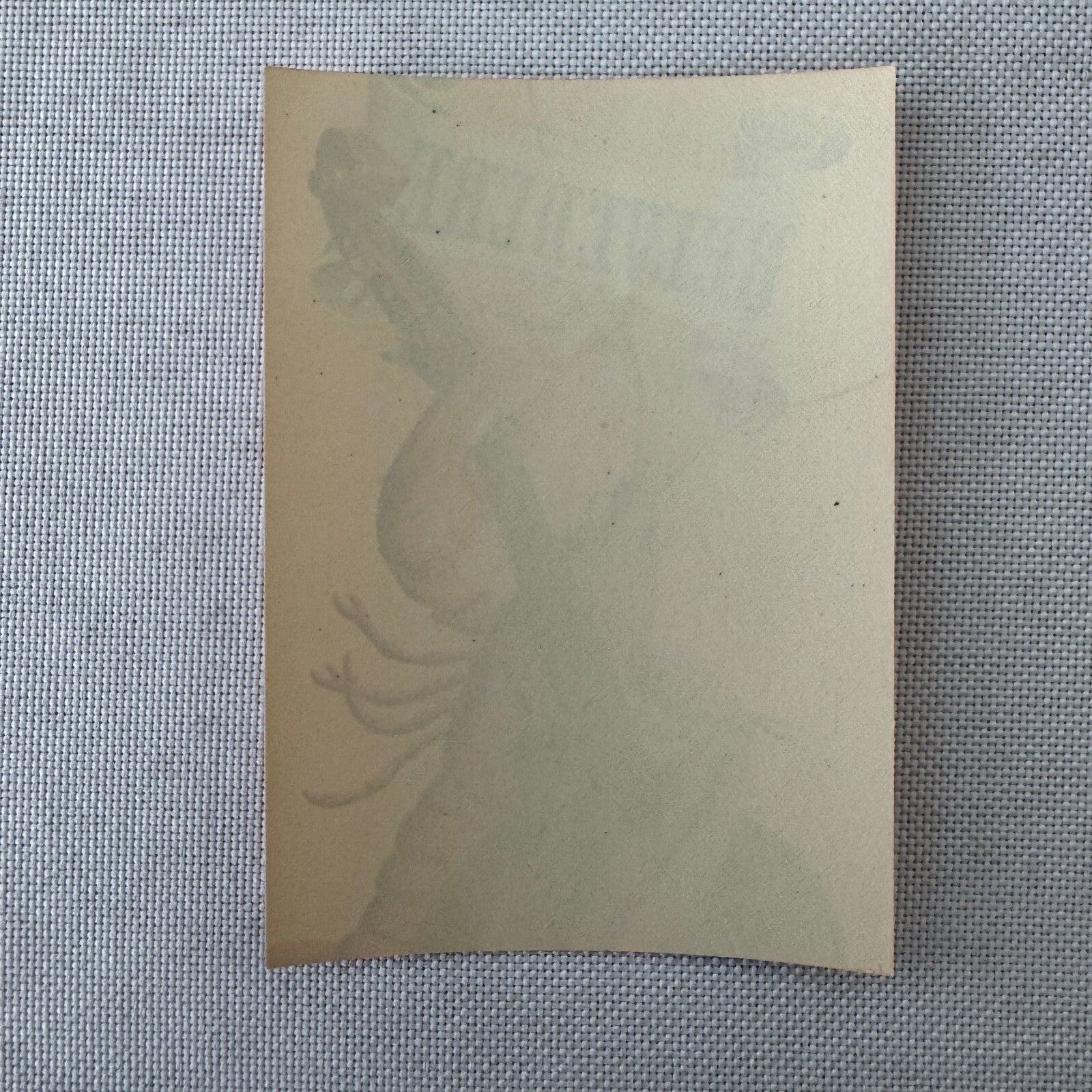 Vintage Hotel Travel Luggage Label Belvedere Hotel and Casino Davos Switzerland
