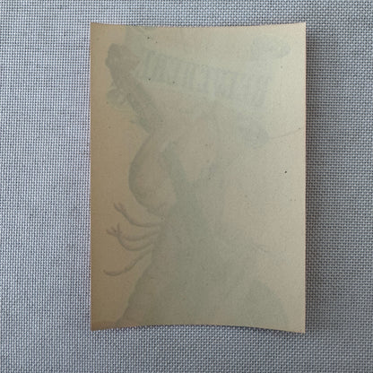 Vintage Hotel Travel Luggage Label Belvedere Hotel and Casino Davos Switzerland