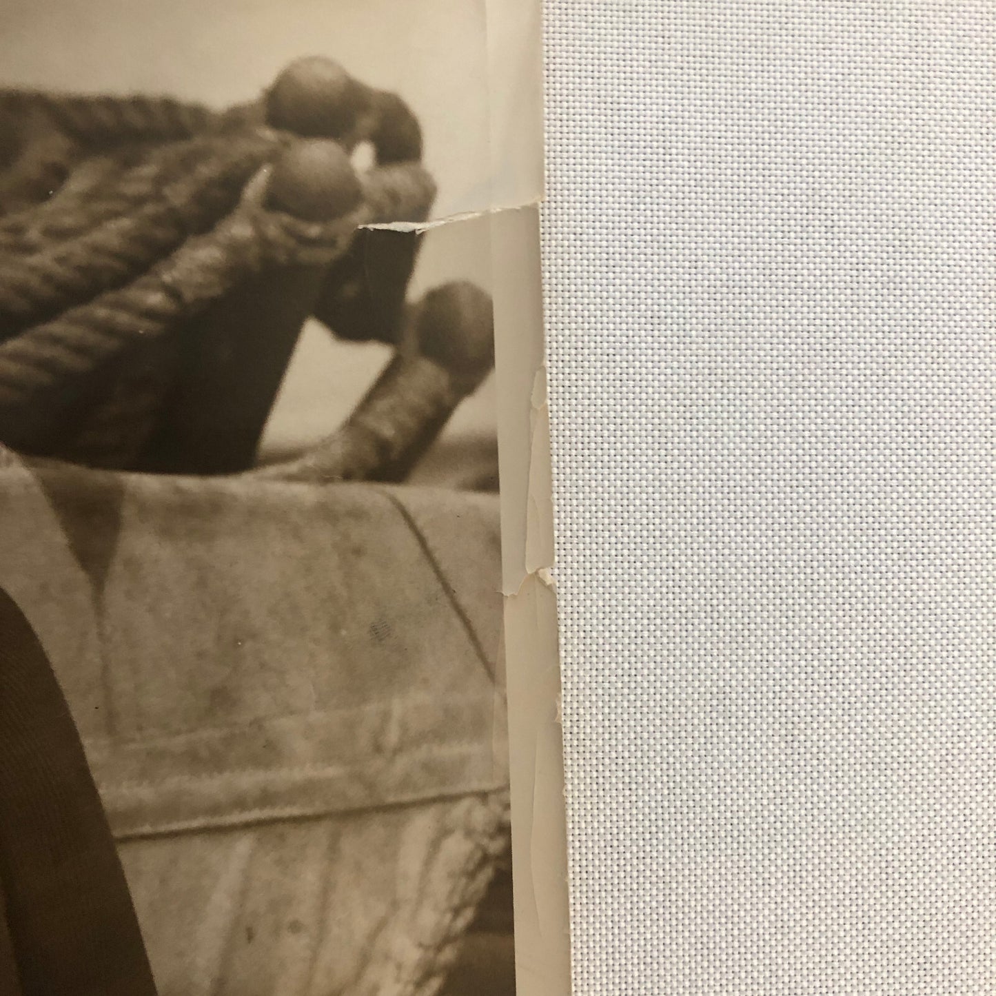 Press Photo Photograph Otto H Kahn Banker Portrait