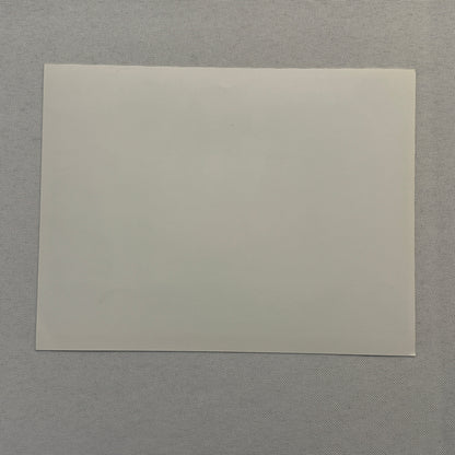 Frank Williams Nelson Piquet Canon Racing Photo Photograph Print