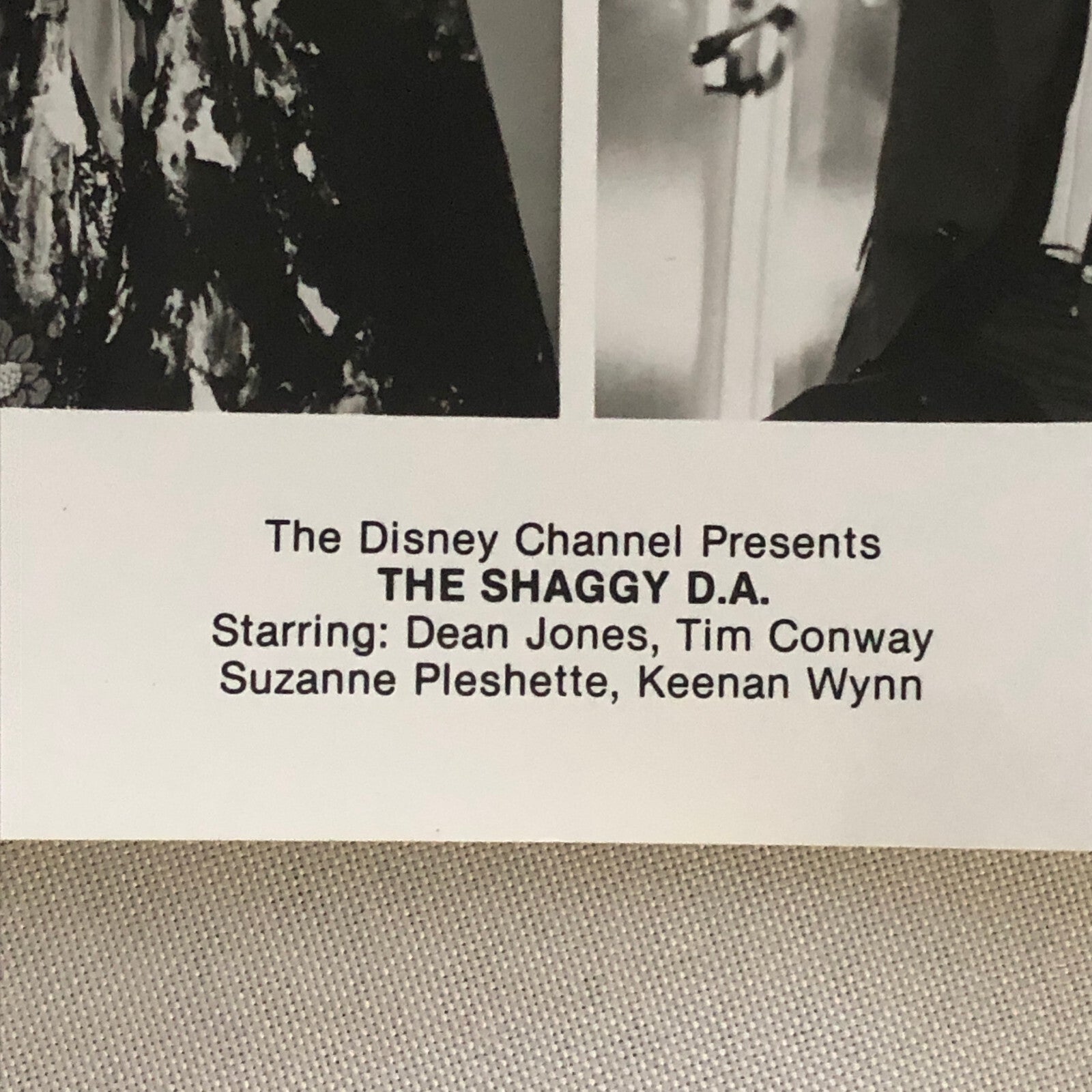 Walt Disney Channel The Shaggy D.A. Dog 1976 Press Photo Photograph Movie Film