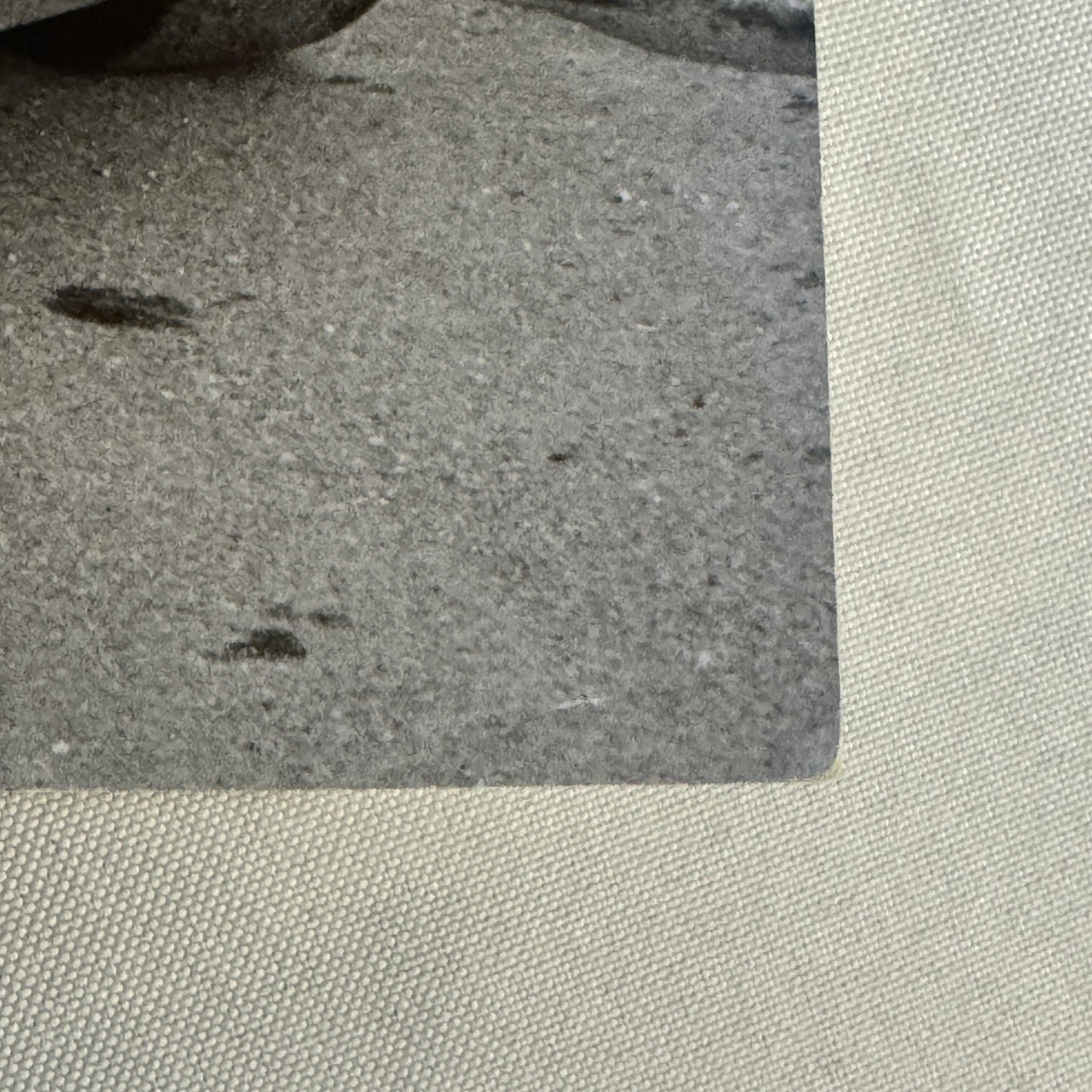 Vintage Volkswagen Beetle VW Bug Racing Photo Photograph Print