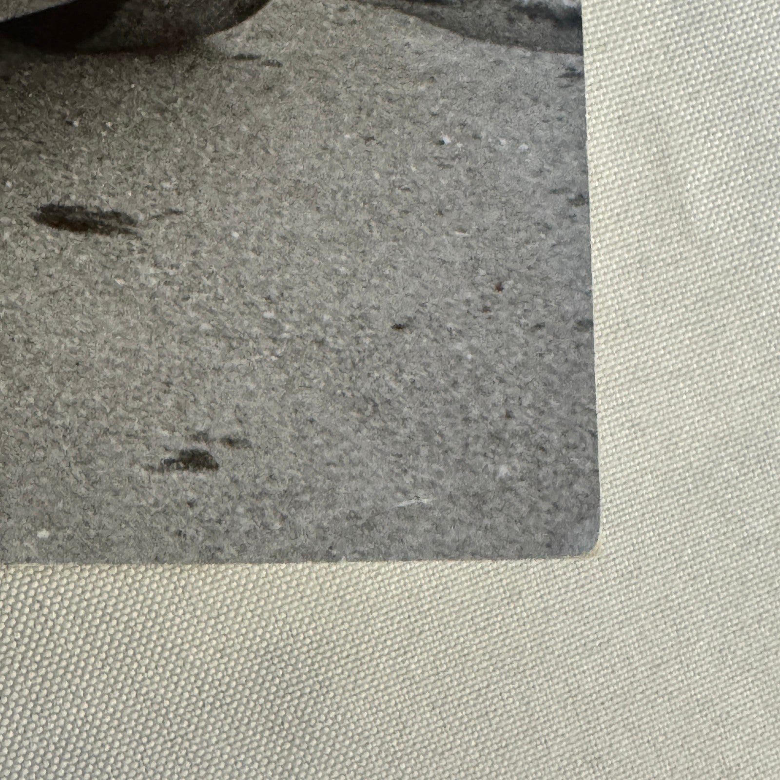 Vintage Volkswagen Beetle VW Bug Racing Photo Photograph Print