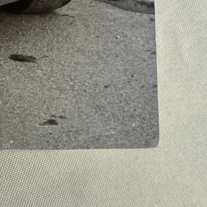 Vintage Volkswagen Beetle VW Bug Racing Photo Photograph Print