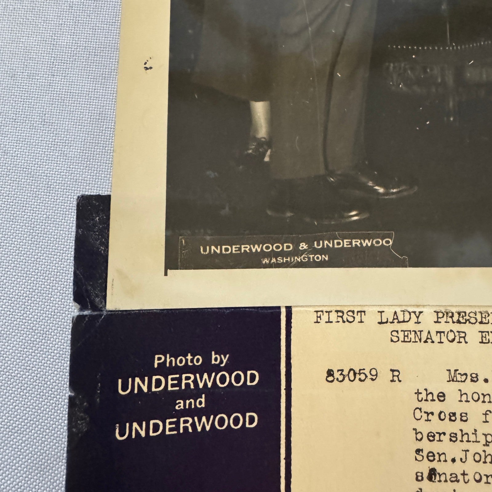 Press Photo Photograph First Lady Eleanor Roosevelt Red Cross Honor Flag montana