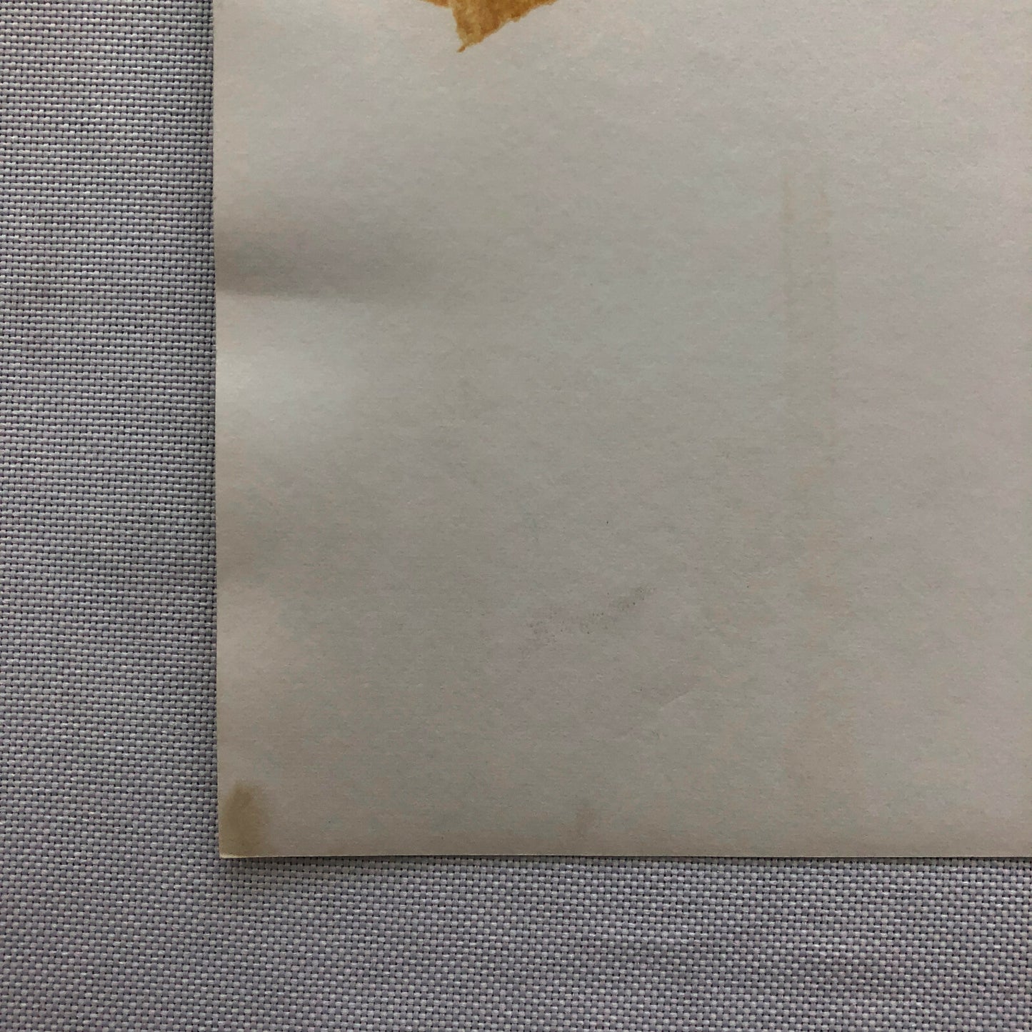 Vintage DPPI Racing Photo Photograph Ford Mustang Rally Car in Snow Greder + 