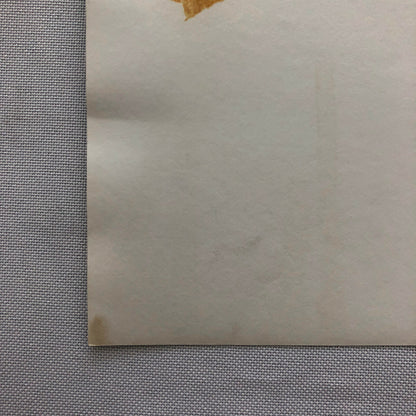 Vintage DPPI Racing Photo Photograph Ford Mustang Rally Car in Snow Greder + 