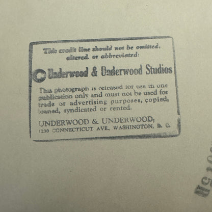 1933 Press Photo Photograph Daughter of Belgian Ambassador Walking Dog in Rain