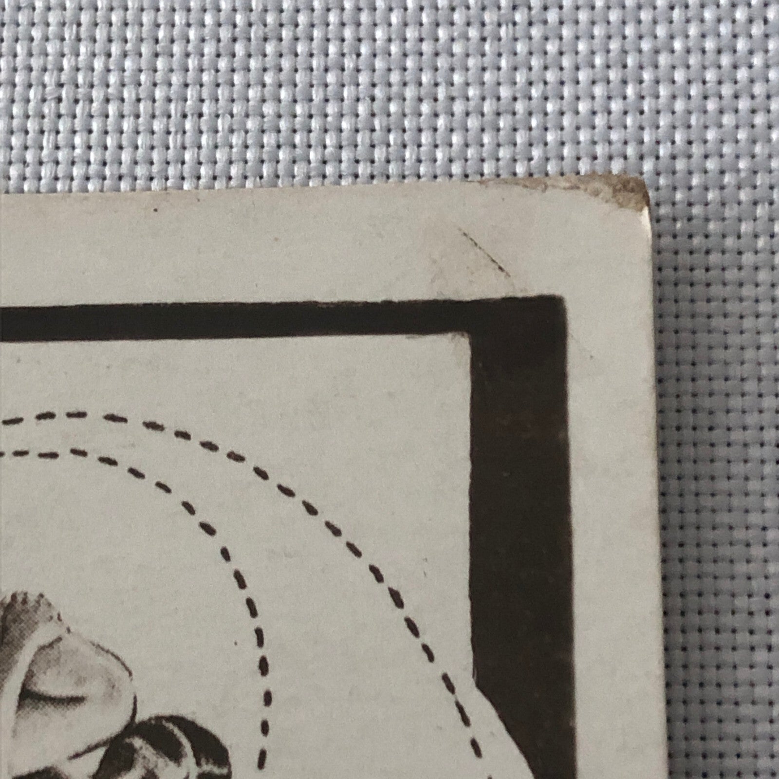 Circus Performer Acrobat Orlando Waldemar Germany Vintage Postcard Post Card