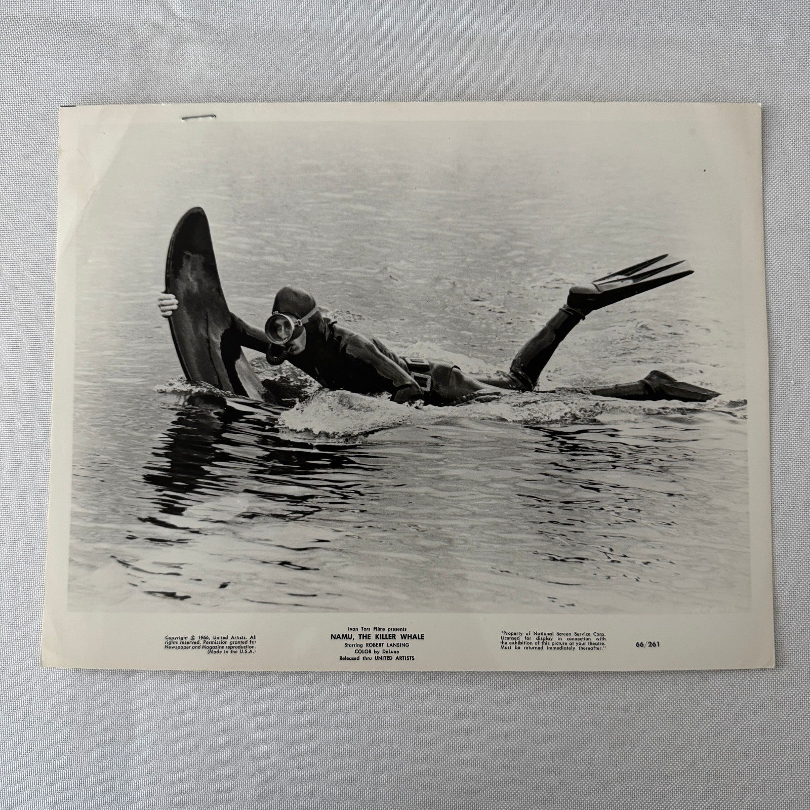 Vintage Movie Still Press Photo Photograph Namu the Killer Whale 1966