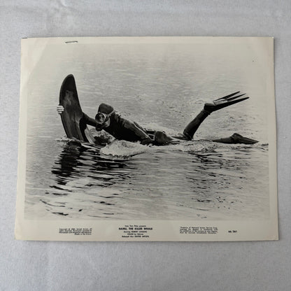 Vintage Movie Still Press Photo Photograph Namu the Killer Whale 1966
