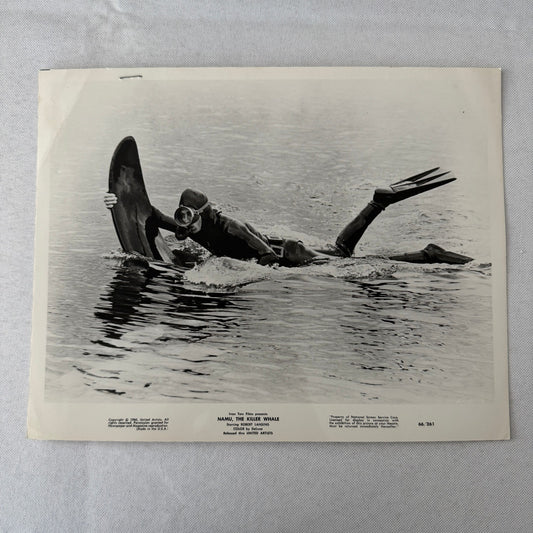 Vintage Movie Still Press Photo Photograph Namu the Killer Whale 1966