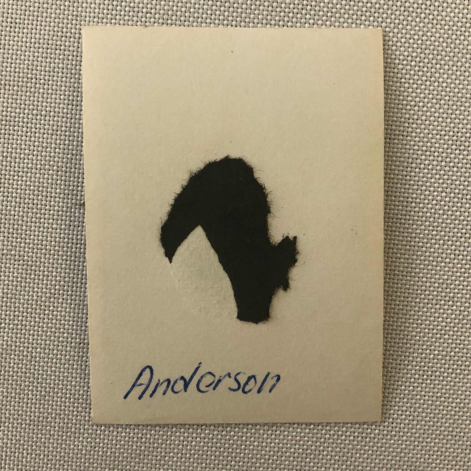 Vintage Motorcycle Racing Photo photograph Snapshot Bill Anderson ?