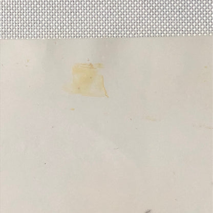 Vintage Racing Photo Photograph BRM Jean Piere Beltoise 1974 ?