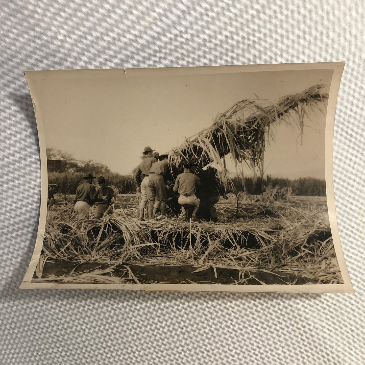 Press Photo Photograph United States Army Anti Aircraft Gun Camouflaged